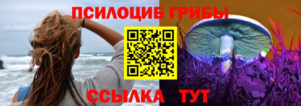 Галлюциногенные грибы ЛСД  Вход с VPN  Павловский Посад 