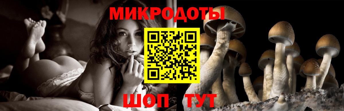 Галлюциногенные грибы MAGIC MUSHROOMS Павловский Посад